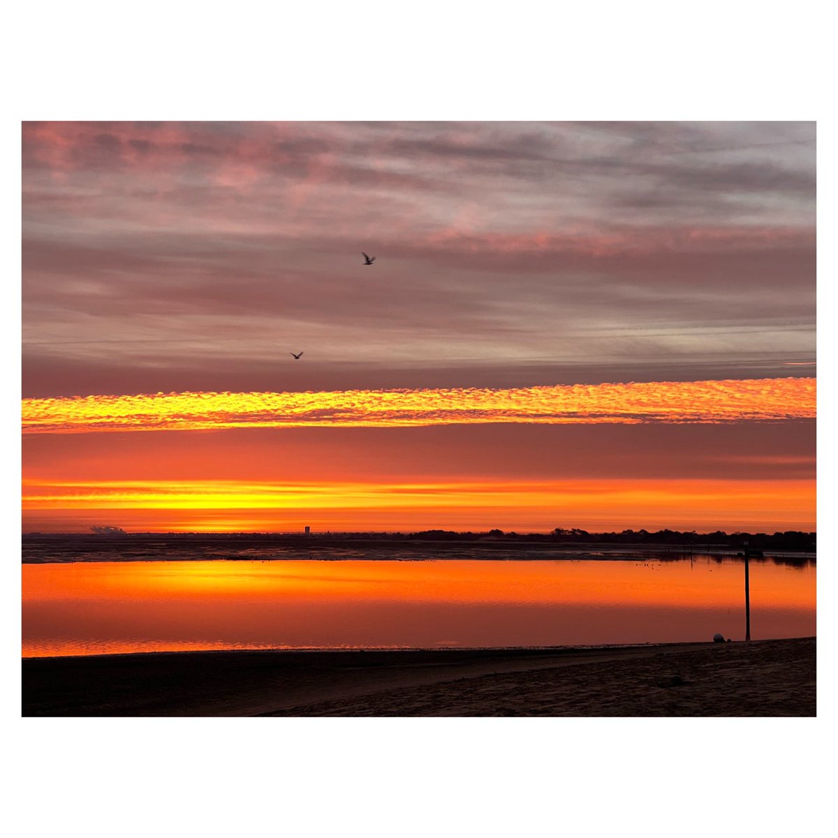 Morning 

#morningview #morninginspiration #sunrisephotography #sunrisesky #sunriseoftheday #igersfrance #sudouest #arcachon #bassindarcachon #bassinaddict #igersgironde #wipplay #reponsesphoto #lecrakoi #vivrelebassin #skyporn #skyphotography #skylovers #seascapes
