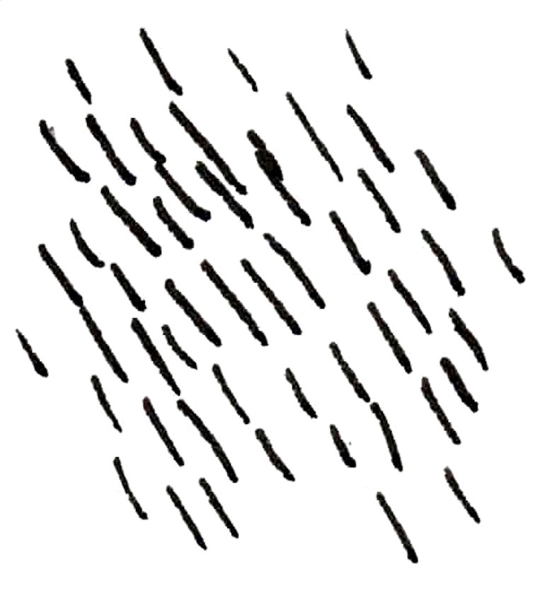 Stéphane Buellet tweet media