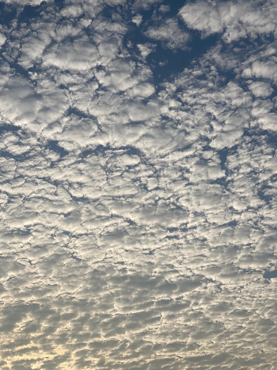 blindlory's tweet photo. Adjunto esta fotografía que se tomó la otra vez desde donde trabajo, en La Unión. Creería que son Cirrocúmulus, pero usted me dirá @GuillermoJovelR. <3 https://t.co/WsLNUktSvQ