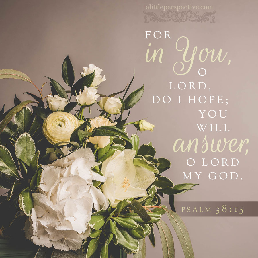 For in You, O Lord, do I hope; You will answer, O Lord my God. - Psalm 38:15 (AMPC)