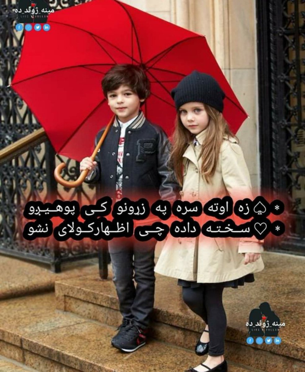 STAR_3113's tweet photo. @AfghanMivz @Afghani_girl_16 @Ahmed653278 @Dr__Malikooo @dralisha3031 @garanafghani @Hamidi07864 https://t.co/WOZQN5iwUa