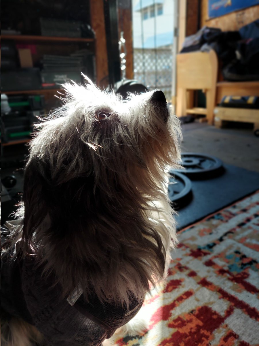 Ericka Daze (@erickadaze) on Twitter photo 