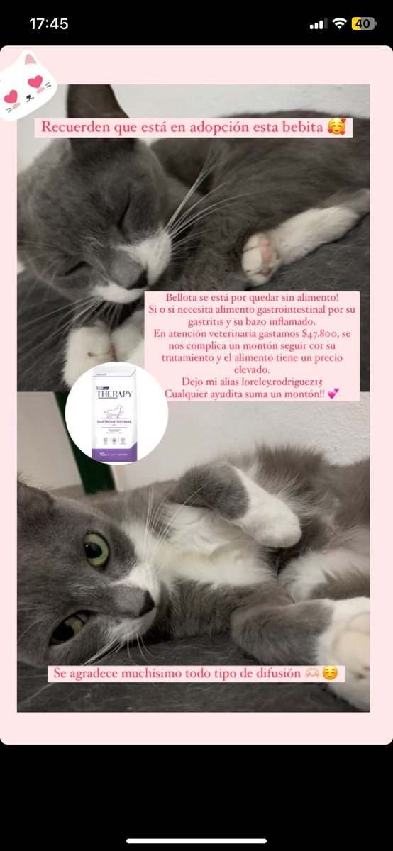 Rgzjairo's tweet photo. y acá también por si quieren compartir 🙏🏻🥰 @loreley_15 https://t.co/DhuOr1FCzV