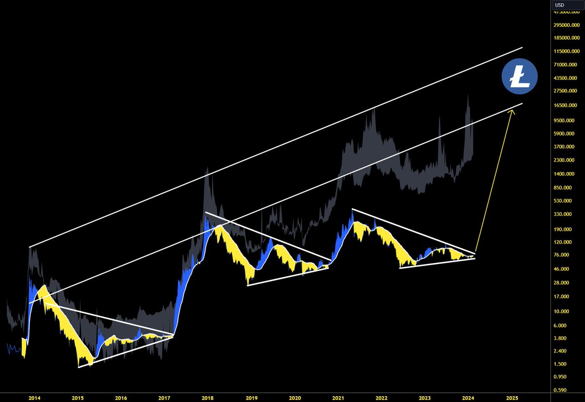 MASTERBTCLTC's tweet image. Litecoin bull run is about to commence again. This time it will be the best one of its entire 13 year existence. $LTC #litecoin