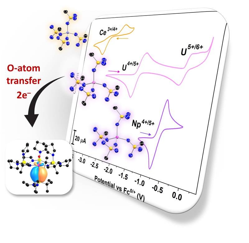 DOE Office of Science (@doescience) on Twitter photo Some radioactive elements are harder to study than others because of how they oxidize, or lose electrons. A new ligand from researchers <a href="/GeorgiaTech/">Georgia Tech</a> & <a href="/uakron/">The University of Akron</a> contributes electrons. This stabilizes these elements for studies of their structure & behavior: energy.gov/science/bes/ar… Some radioactive elements are harder to study than others because of how they oxidize, or lose electrons. A new ligand from researchers <a href="/GeorgiaTech/">Georgia Tech</a> & <a href="/uakron/">The University of Akron</a> contributes electrons. This stabilizes these elements for studies of their structure & behavior: energy.gov/science/bes/ar…