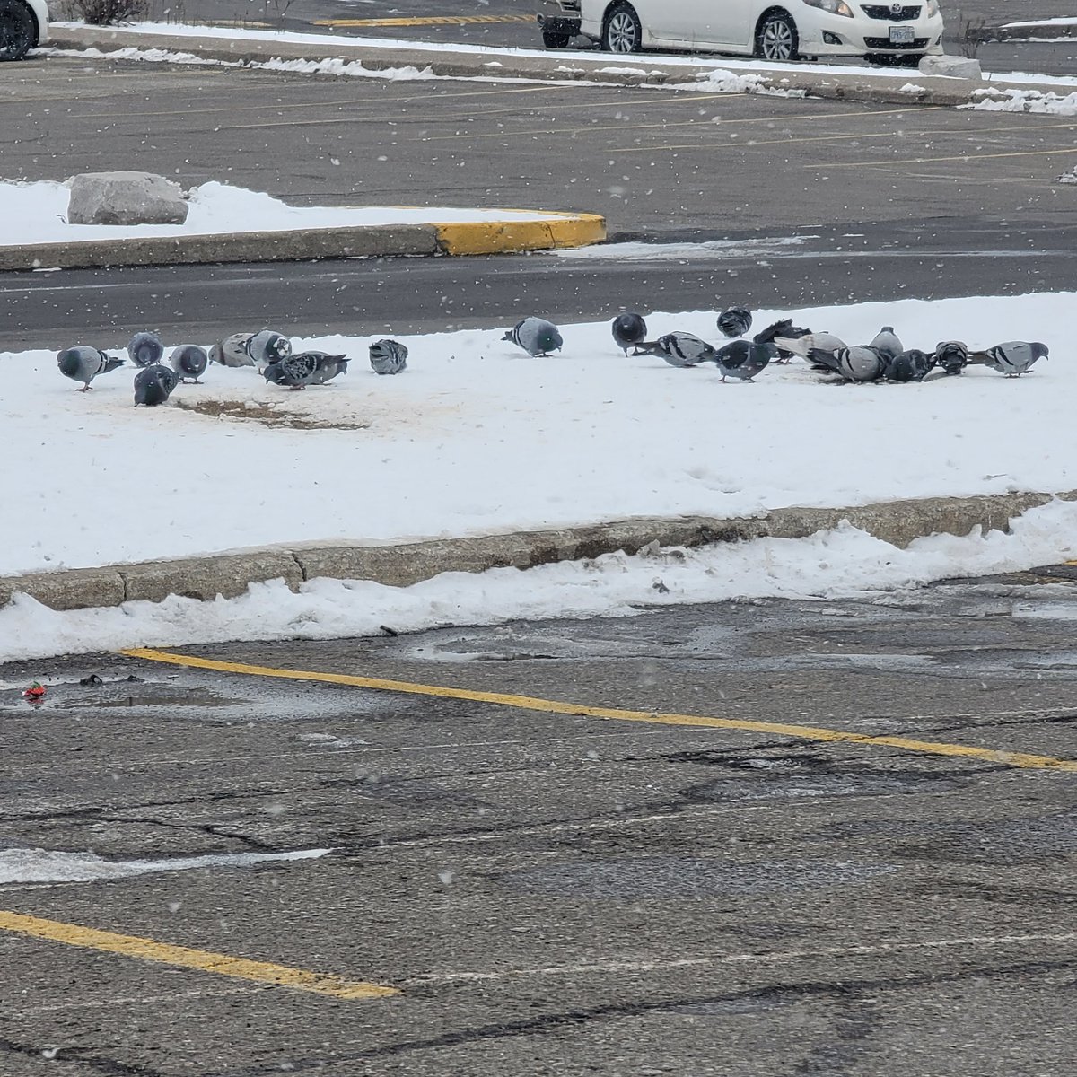 DaisyWright-CertifiedCareerCoach tweet media