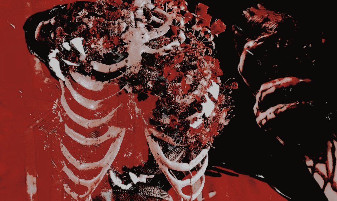 𝐖ᴵᴸᴰᅠ𝐍ᴬᵀᵁᴿᴱᅠ tweet media