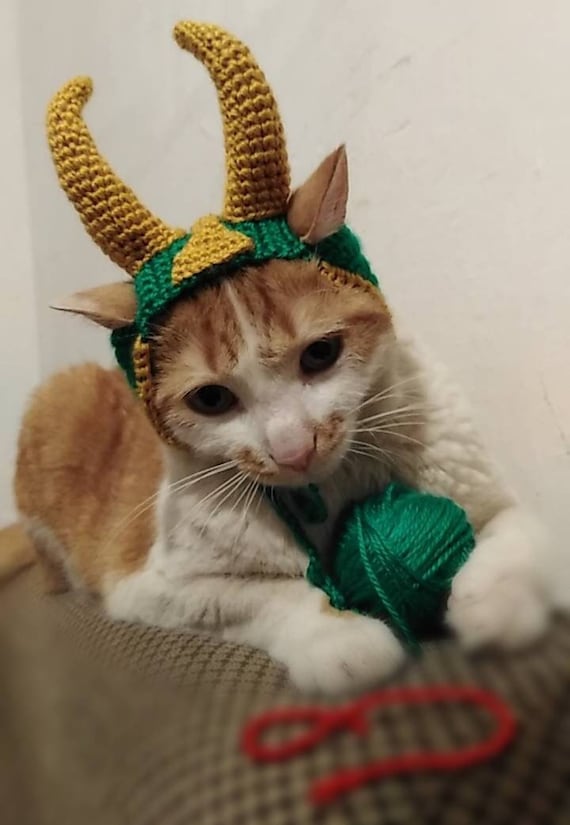 GreenSlipStitch's tweet photo. @Cat_Cosplay Hello from Cats in hats
https://t.co/OjfF2ctxm1 https://t.co/5LuTMURpF1