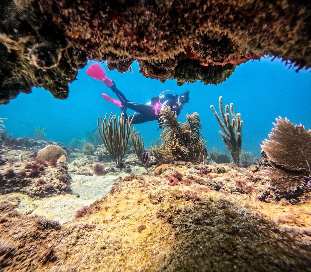 visitlauderdale's tweet photo. Dive into epic adventures in Greater Fort Lauderdale. 🪸 https://t.co/okY4c4aycg

📸 : divelaudy

#VisitLauderdale #ScubaDiving #Snorkeling https://t.co/mJFfTL0SQt