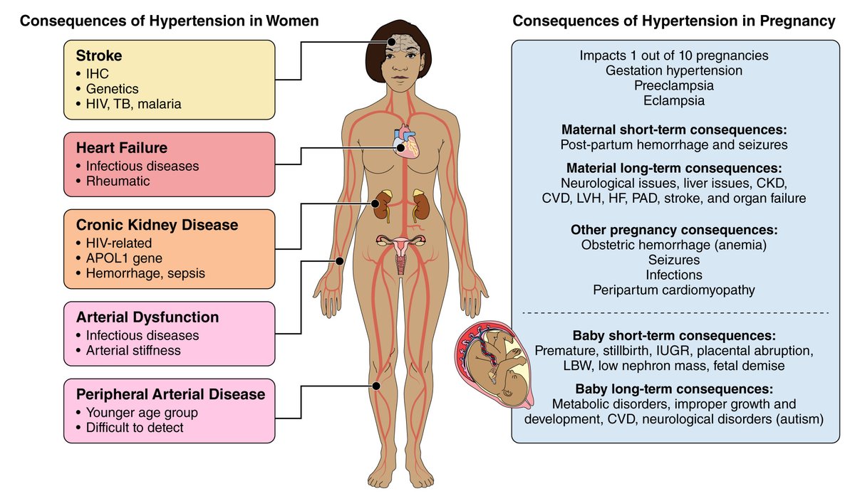 Go Red for Women review in the Feb 16th issue of @CircRes by Hahka & colleagues on '#Hypertension Related Co-morbidities & Complications in Women of Sub-Saharan Africa' ahajrnls.org/49FiUna @annetkiraboc1 @rkalyes1 @aandersonberry @TPperspectiv @NamagandaAgnes