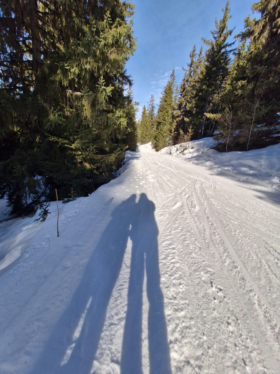KarinDietist's tweet image. Net 1 dag thuis en nu al heimwee... Wat was het weer fijn om een week in de sneeuw te zijn! Super mooie wandelingen gemaakt, fit thuis gekomen!
#diëtist #fit #wandelen #LesArcs1800 #Nijmegen #Druten #Woerden #LCHF