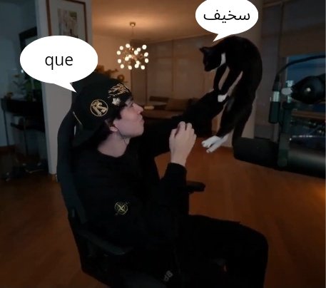 shitpostspreen's tweet photo. https://t.co/Sx1jHAtpY9