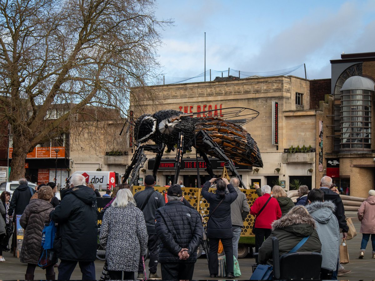 emmabphotos's tweet photo. Manchester Bee Monument π
#beefearless #manchesterbee #gloucester #crime #weapons #monument #bee #photography #Awareness #sculpture https://t.co/tG0Sxh5aHH