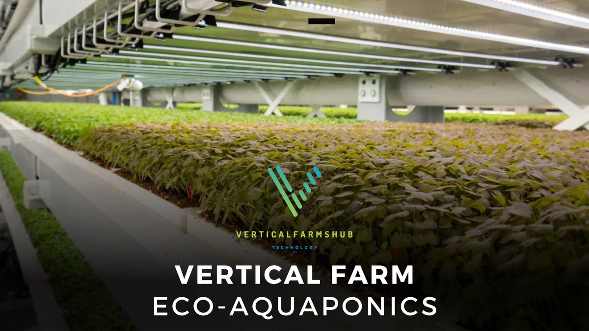 VFHNews's tweet photo. @upwardfarms is revolutionizing agriculture by merging #aquaponics with sustainability, creating an ecosystem that’s both productive and environmentally responsible. The company is committed to promoting a more sustainable future.

Read the post: https://t.co/85xam35du6 https://t.co/CGj06hV4jH
