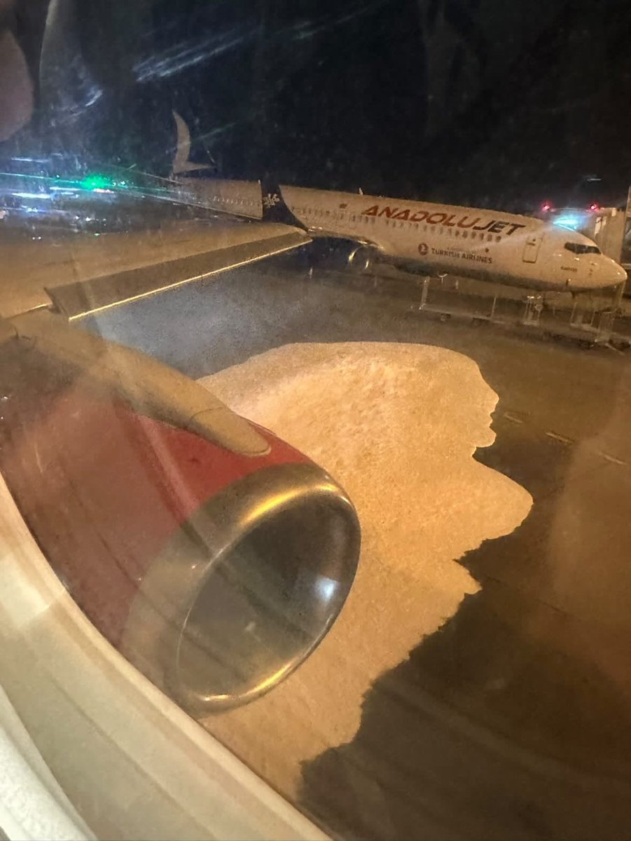 Ammar Mešić tweet media