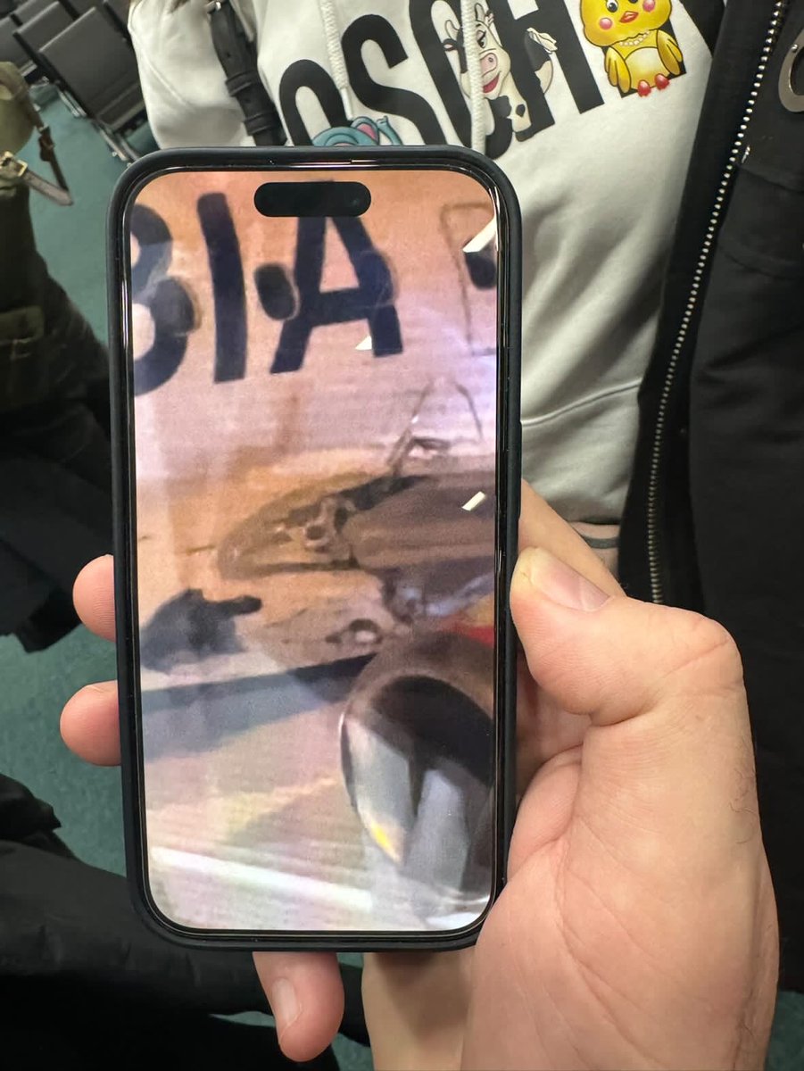 Ammar Mešić tweet media