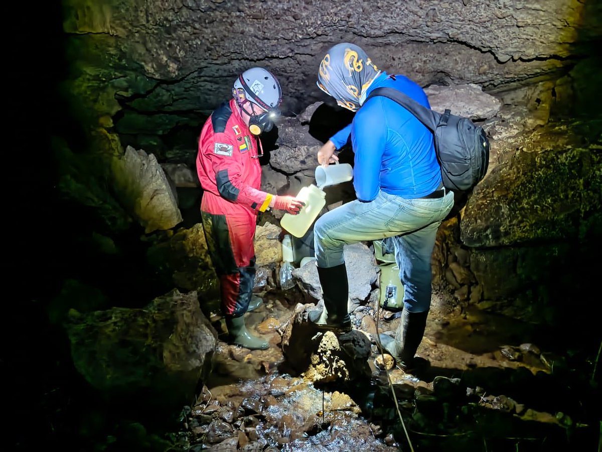 Carlos Lasso tweet media