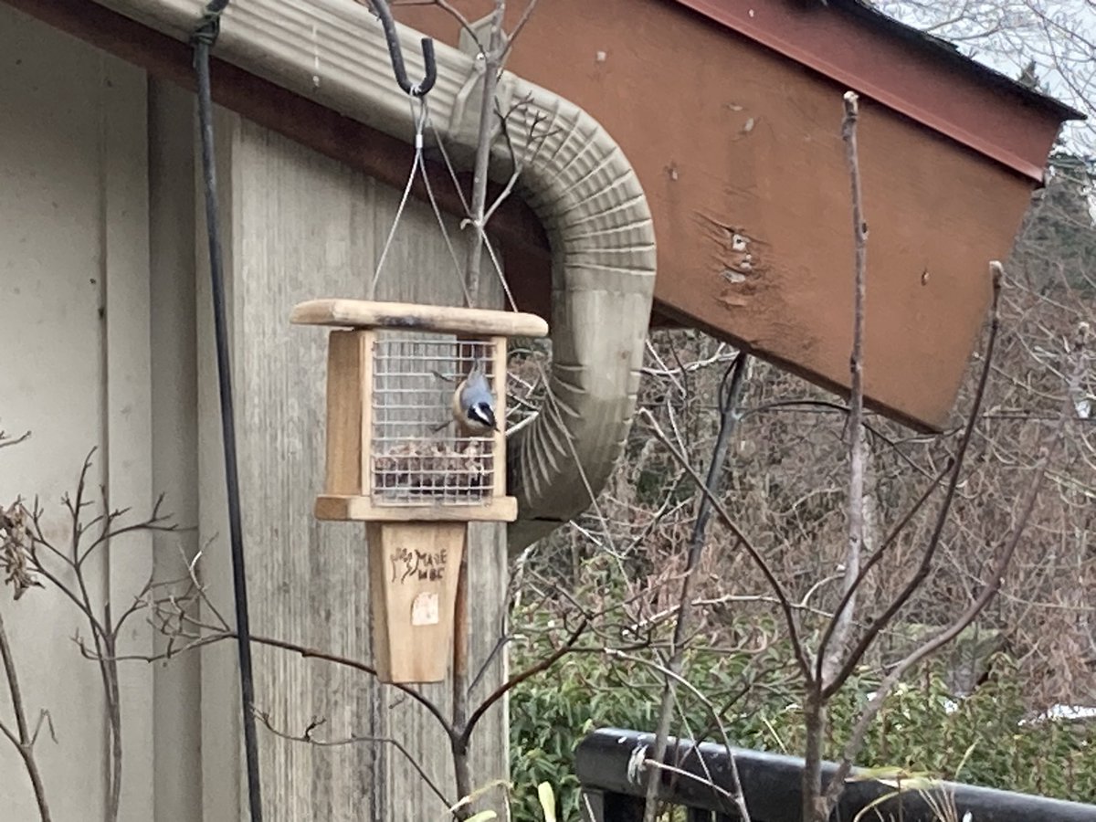 Wendyka🎗️ tweet media