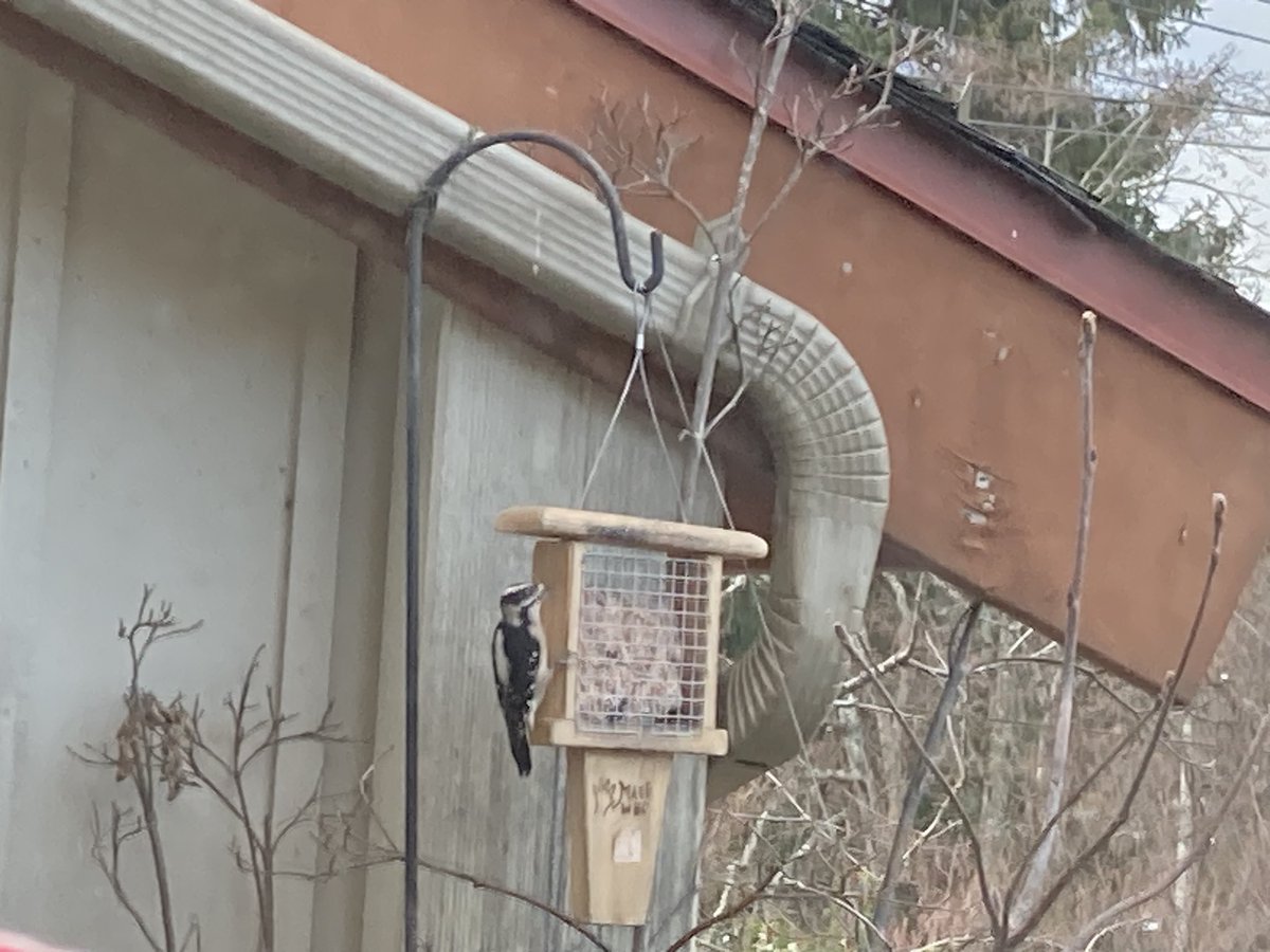 Wendyka🎗️ tweet media