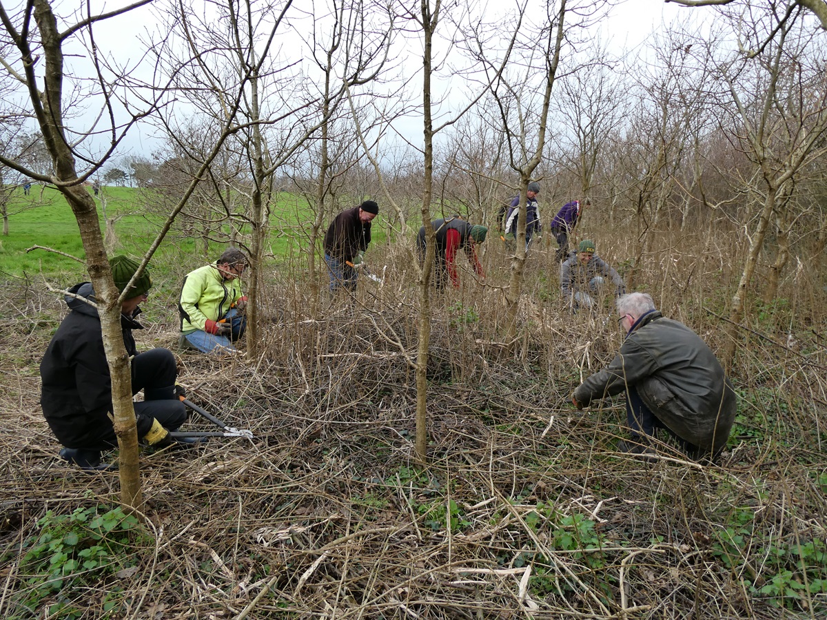 A great chop and chat session at St Germain Nature Reserve on Saturday morning.😀 
Great work everyone! 👏👏
#conservation #volunteering #treecare #teamwork #outdooractivities #MakeADifference