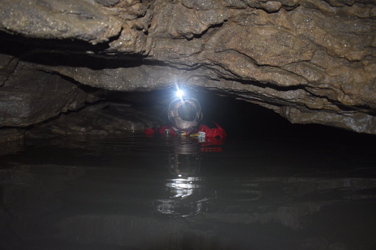 Carlos Lasso tweet media