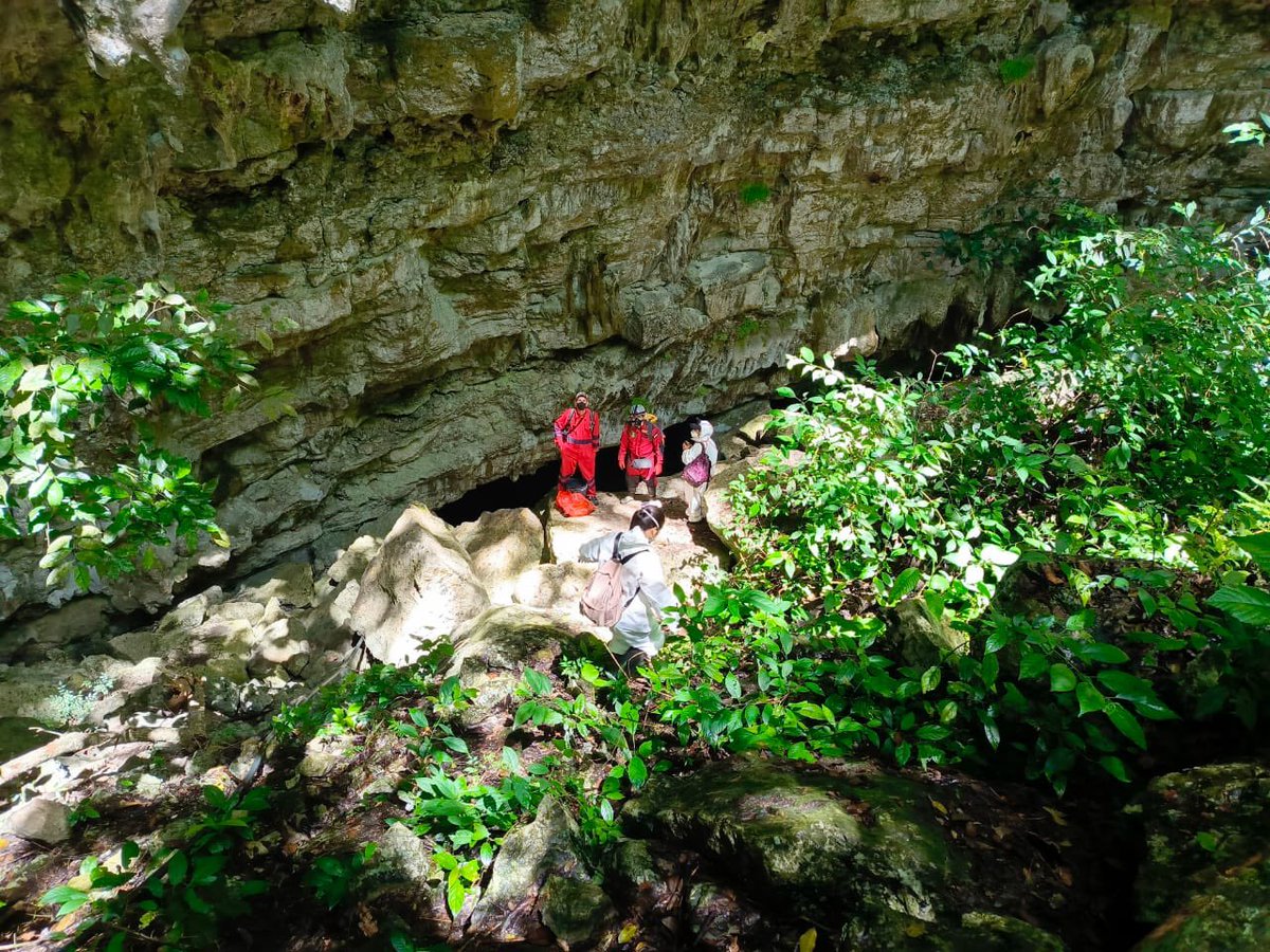 Carlos Lasso tweet media