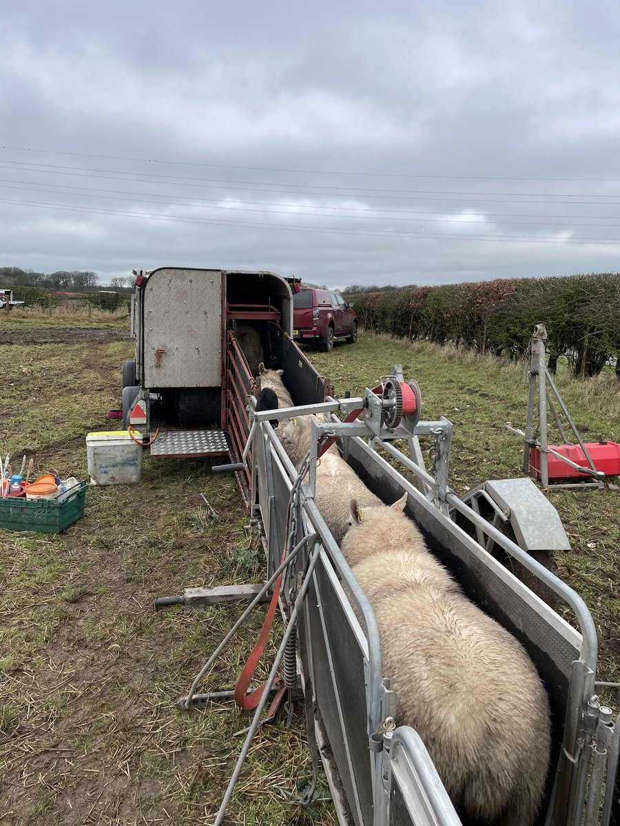 Stuart Graham tweet media