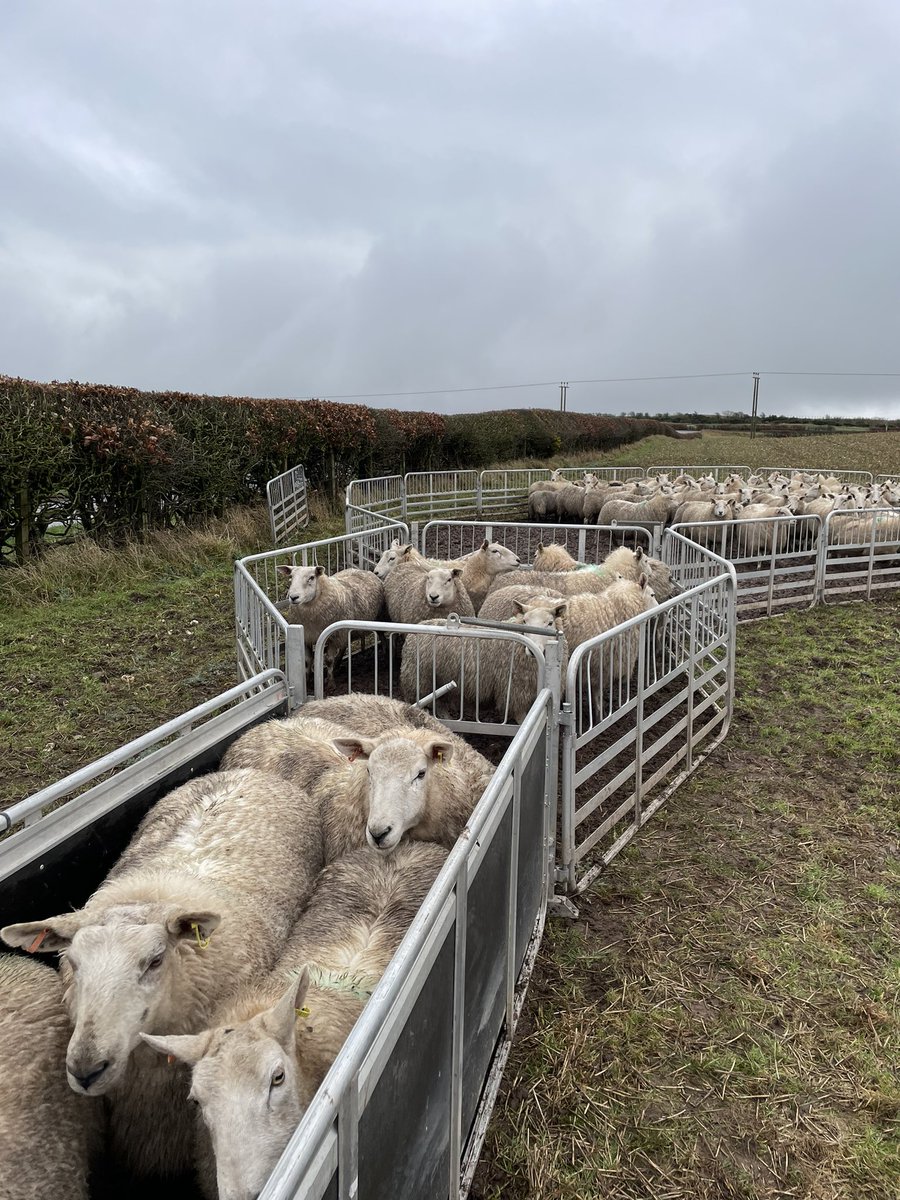 Stuart Graham tweet media