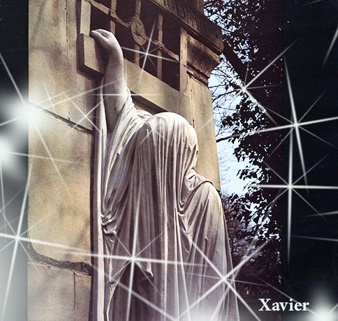 Xavier tweet media