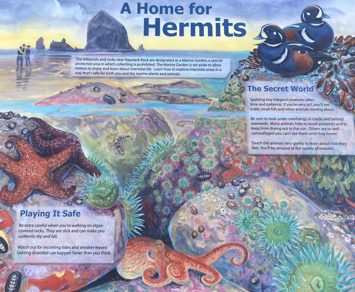CorrynKnapp's tweet image. Alright #haystackrock at #cannonbeach has taken the lead for my favorite informative sign