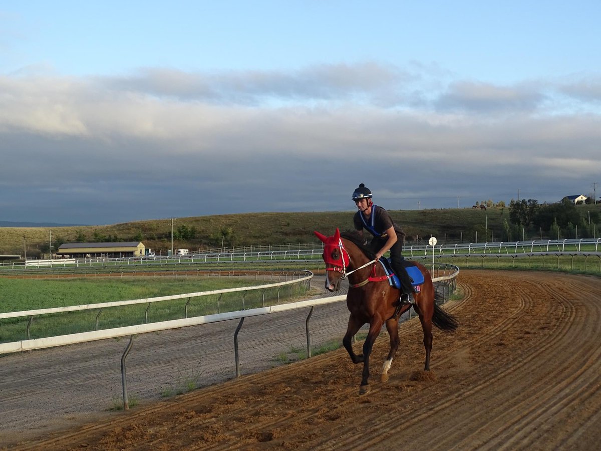 In partnership with Racing NSW, Bathurst Thoroughbred Racing successfully completed a major renovation to the fast work training track.

The project involved spreading and levelling of over 1000 tonnes of conforming sand, with upgrades to the existing irrigation system.
