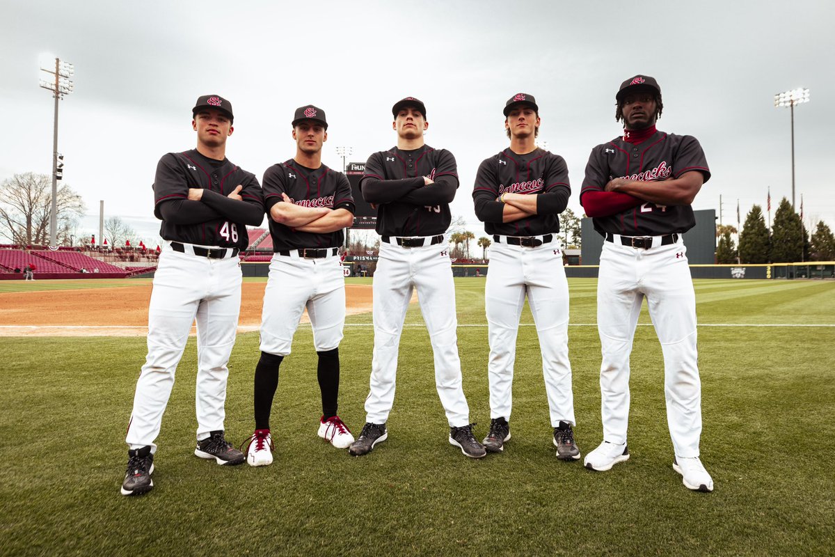 South Carolina Baseball tweet media