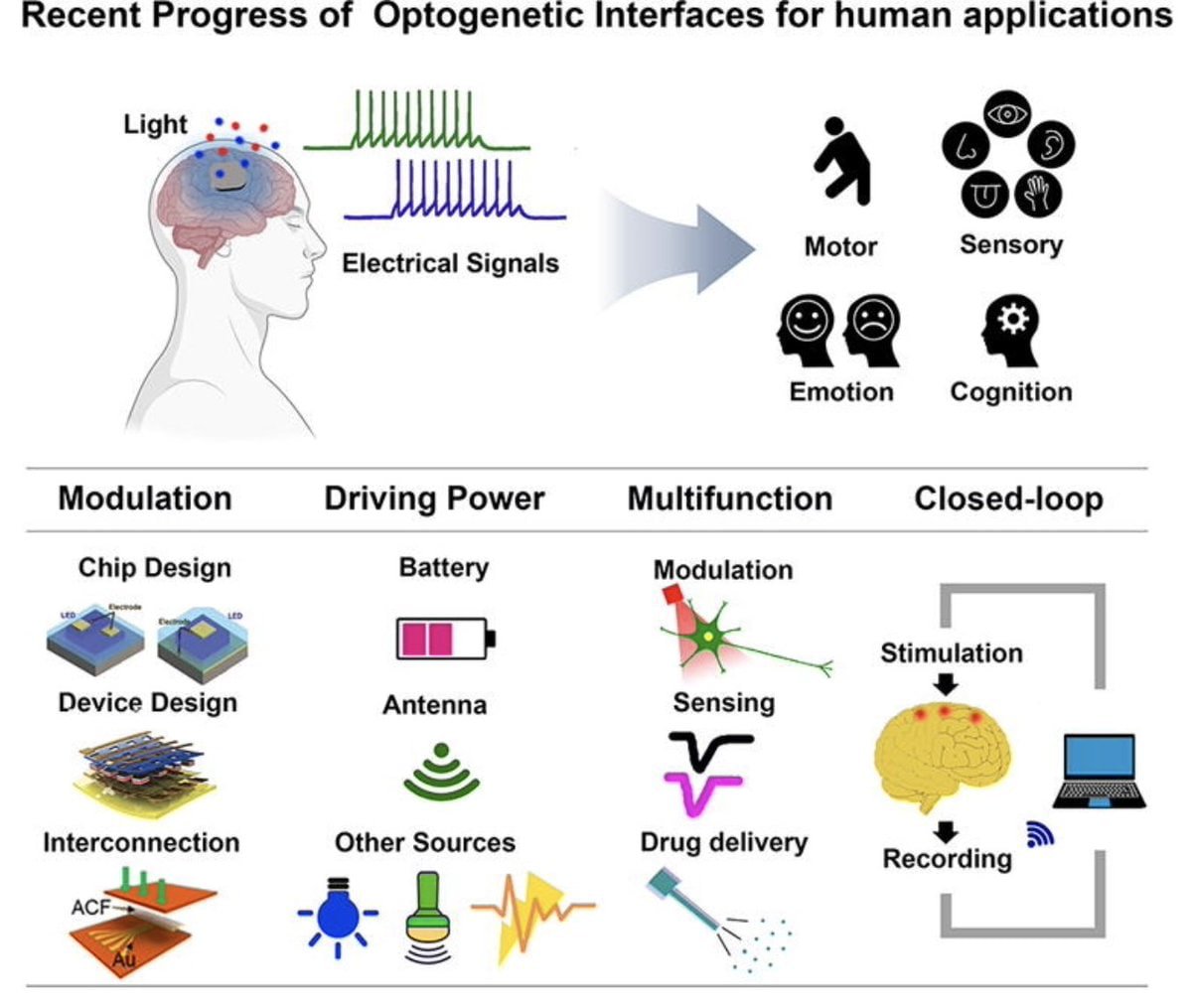 CorinneNokel's tweet photo. Implantable Micro-Light-Emitting Diode (Β΅LED)-based optogenetic interfaces toward human applications
#OptogeneticInterface
#LED
#HumanBodyCommunication
#IEEE
#WirelessBodyAreaNetwork
#WirelessNanoSensorNetwork
#BiFi #LiFi
https://t.co/y28nySC6ph https://t.co/6D4Qj5Ae9r