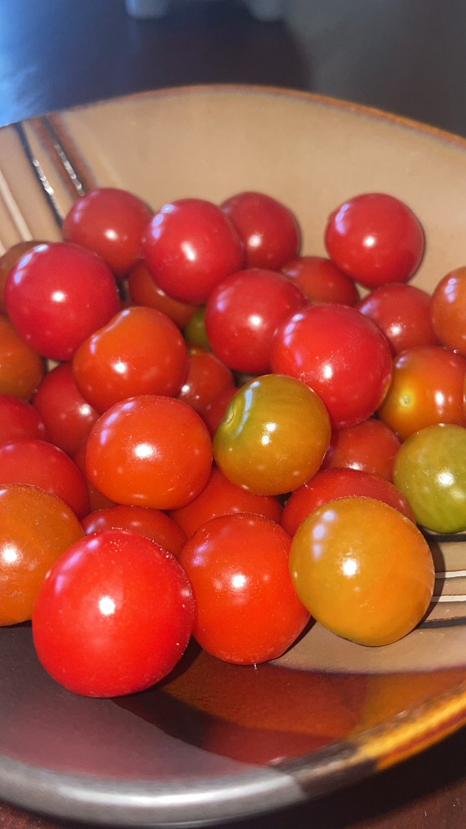 mlphotography77's tweet image. Mmmm snack time!!
#leduc #cherrytomatoes 
#sundaysnacks