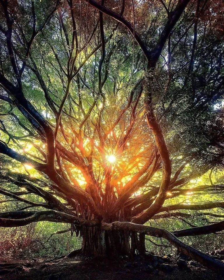 noveliciouss's tweet photo. It's with words as with sunbeams. The more they're condensed, the deeper they burn. 
Southey 
#writing #film #acting #amwriting #screenwriting 
#Art Micah Roemmling https://t.co/qw6ApWMsQW