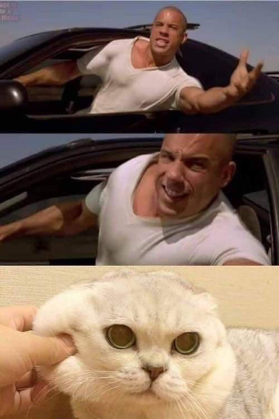 NO CONTEXT HUMANS (@humansnocontext) on Twitter photo 