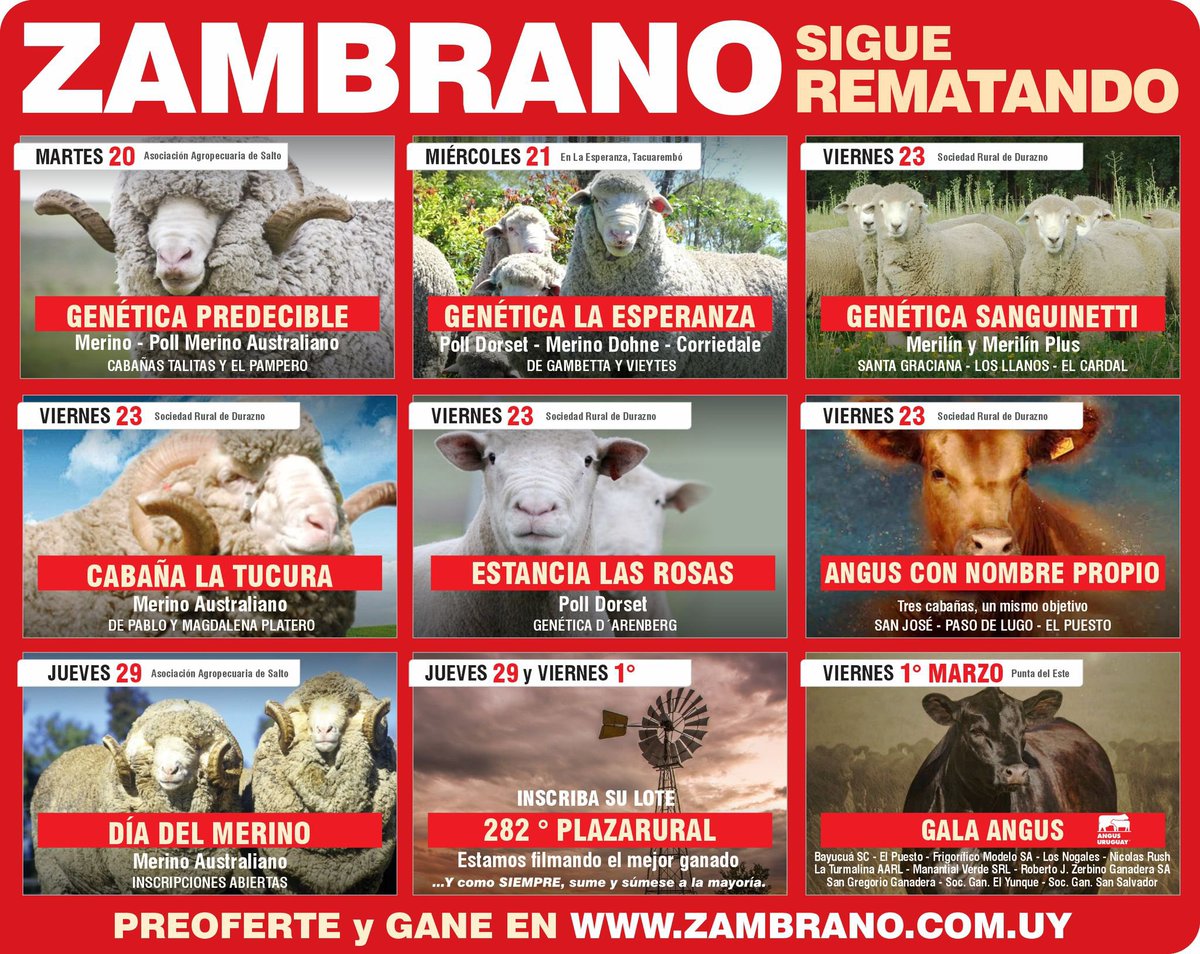#ZambranoRemata 
Agende próximos remates 

Preofertas con beneficios exclusivos aqui 👉🏻 acortar.link/hPF4Mq

#somoszambrano #tumejoropcionagropecuaria