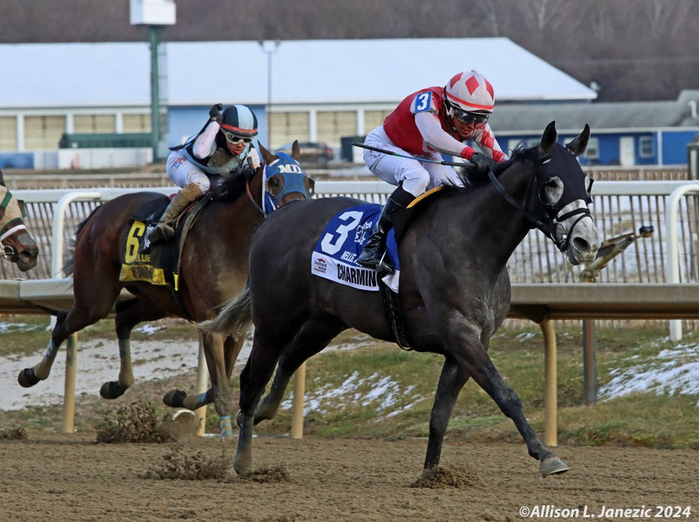 Charming Way wins the Nellie Morse Stakes at Laurel Park. #LaurelPark #Thoroughbred #Racehorse #HorseRacing #MarylandJockeyClub #Jockey #Horse #ThoroughbredRacing