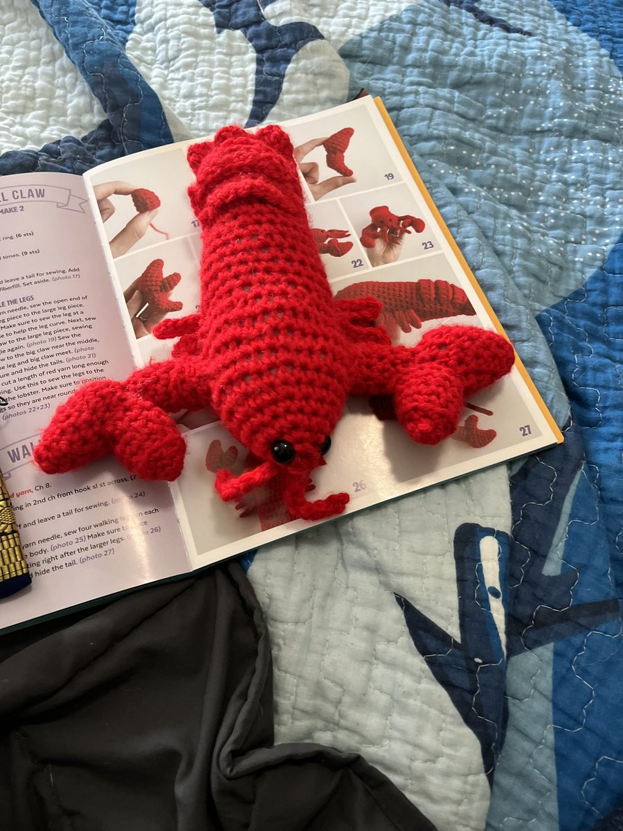 silliesofthesea's tweet photo. no silly of the day im eepy have this crochet lobster i made https://t.co/k5iLDrbd7e