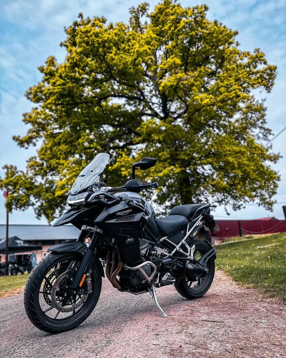 Triumph Tiger 1200