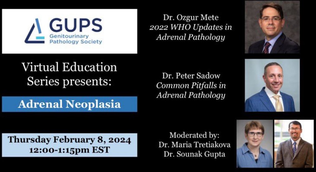 Carol2Path's tweet photo. #PathWebinarPearls

Dr. Ozgur Mete from @UofT_LMP and @PathDocBoston from @MGHPathology discuss:

✨ADRENAL GLAND NEOPLASIAS!✨

Session hosted by @Shounak_Gupta @TretiakovaMaria  from @GU_Path_Society. 

👇👇👇NOTES below 👇👇👇
#GUPath #EndoPath #PathTwitter https://t.co/2m3vxB5MsO