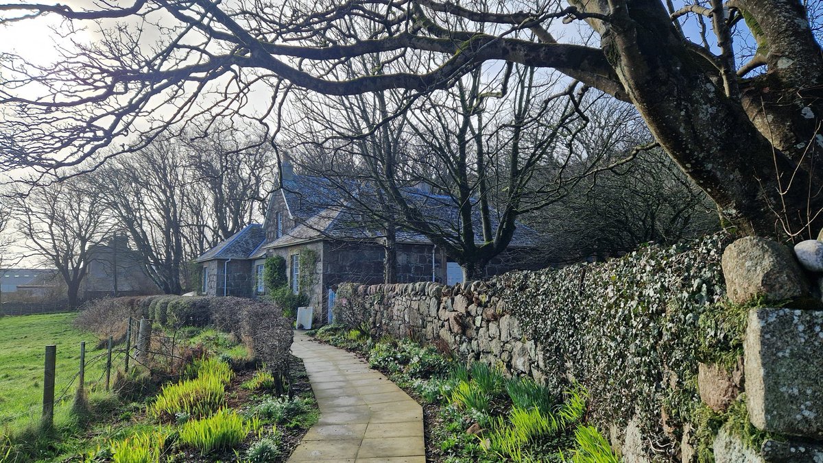 Spring is on its way. Today on Iona! #thinplaces #pilgrimage #colmcille #comeandsee #visitscotland #scottishisles #newgrowth #snowdrops #buds #nunnery #rookerycafe #heritagecentre #isleofiona 1of3