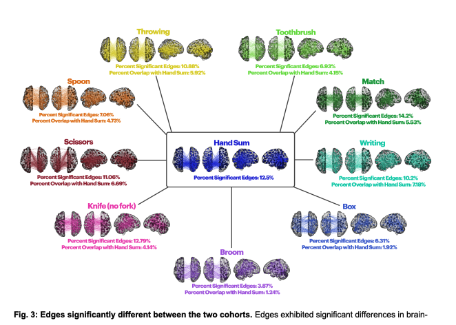 Brain-handedness associations depend on how and when handedness is measured | #bioRxiv  biorxiv.org/content/10.110…