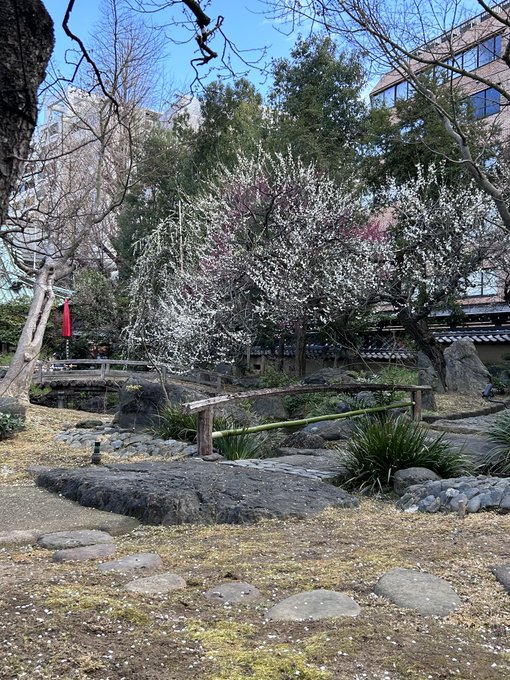 Twitterのコスプレ画像16