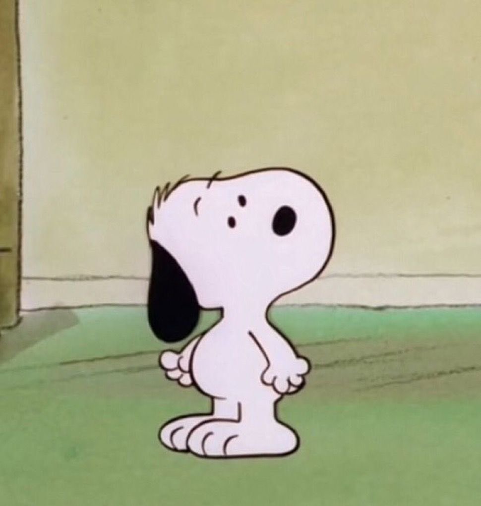 snoopstrs tweet picture