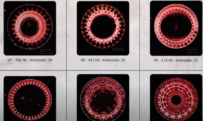 Search4truth33's tweet photo. https://t.co/ZDfomh02xN 
Innovative work on using frequency to restore dead blood showcases a significant scientific breakthrough. #nikolatesla #528hz #solfeggio #528hzfrequency #741hz #sound #frequency #vibration #words #harmony #music #sacredgeometry #truthseeker #lovefrequency https://t.co/GrBxTQg1VV