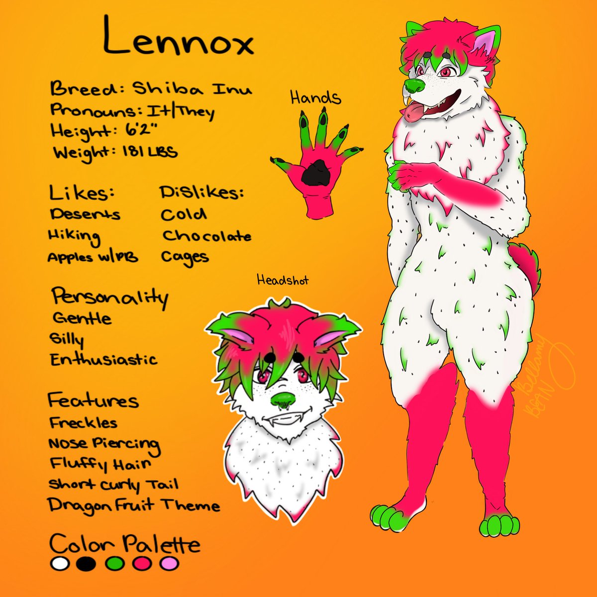 Bellie_Bean's tweet photo. Lennox Ref Sheet for @Vanillawawa #furry #furryart #furryartist #art #artist #furries https://t.co/IDjAvt1UFF