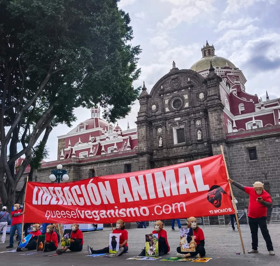 Utilizar a los animales está mal.
Ser justo significa hacerse vegano/a.