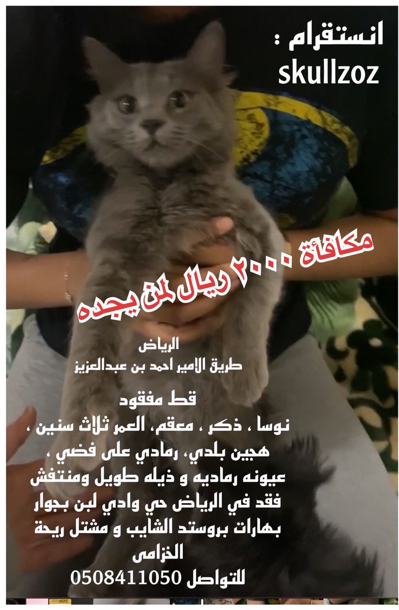 soundsoul396's tweet photo. عاجل 🔴

الرياض/
نوسا قط مفقود في حي وادي لبن .
تم ضياعه قبل مدة سنة ،فضلا لو  كان تم تبنيه او انقاذه او رؤيته بالحي من احدكم،  ارجوه التواصل على الانستا والجوال المرفقين بالاعلان كتب الله اجركم جميعا   #قطط_مفقودة. #قطط_الرياض  انشروا الاعلان لو تكرمتم ربما تساهمون بعودة نوسا. https://t.co/loxC1WVLmX