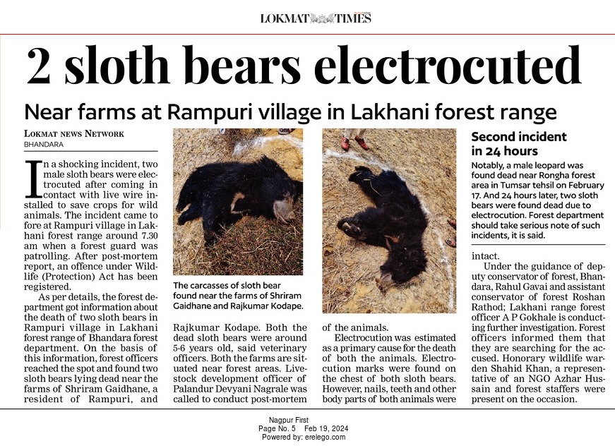 LokmatTimes_ngp's tweet photo. 2 sloth bears electrocuted 
#LokmatTimes #Nagpur
Link for the report:
https://t.co/suhTkxJyYj https://t.co/HEY2R3TbHs